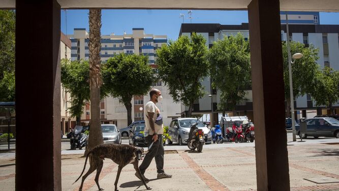 Un joven de La Barriada pasea a su perro en un día libre de su trabajo en e El Puerto.