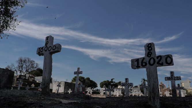 Tumbas de falecidos a causa de la apndemia en el cementerio de Irajá, en el norte de Río de Janeiro.