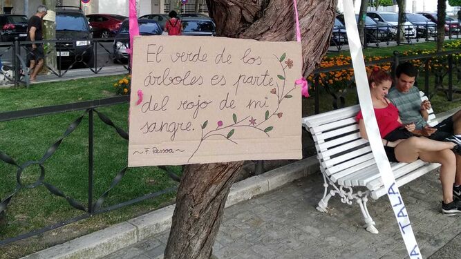 Uno de los carteles colocados en uno de los árboles 'sentenciados' de la Plaza de España.