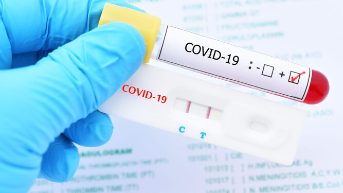 Test de antígeno: rápidos y fiables como una PCR para detectar el coronavirus