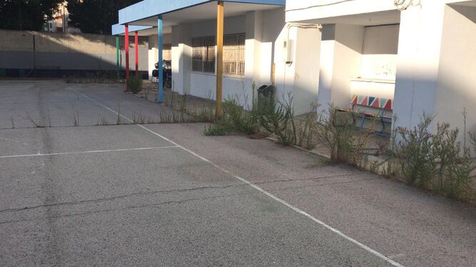 Patio del colegio La Ardila con matojos aún, según la denuncia de AxSí.