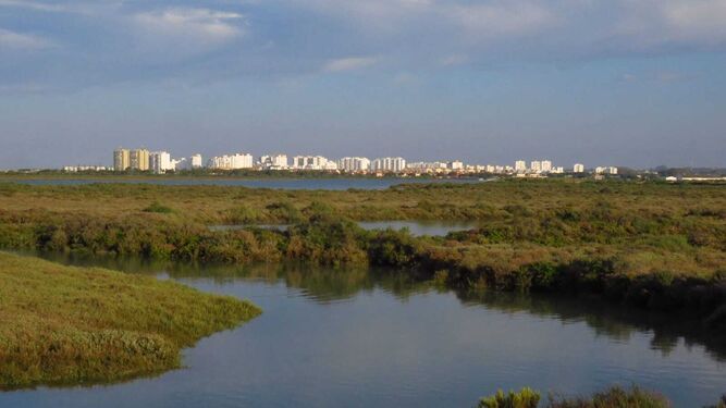La propuesta a pleno de  ampliar el Parque Natural de la Bahía de Cádiz no salió aprobada.