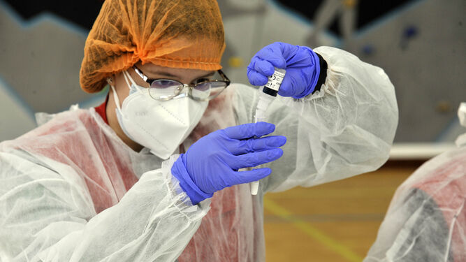 Una profesional sanitaria procesa un test durante las pruebas de cribado de coronavirus realizadas en Arcos.