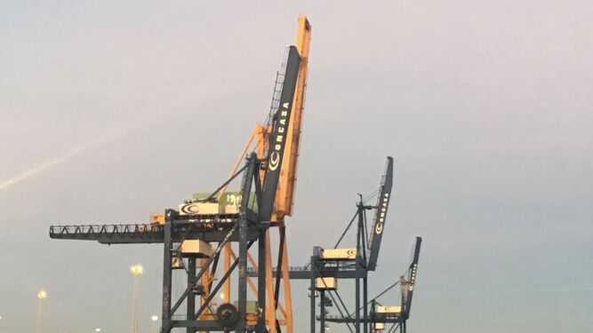 Las cuatro grúas de Concasa con las que cuenta ahora la terminal de contenedores del Muelle Reina Sofía.