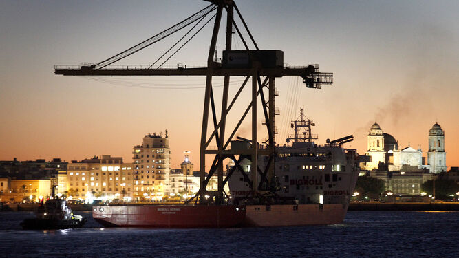 Imagen nocturna del puerto de Cádiz