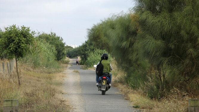 Una de las fotografías difundidas por Ecologistas en Acción para denunciar el estado de "abandono" del tramo roteño de la vía verde comarcal.