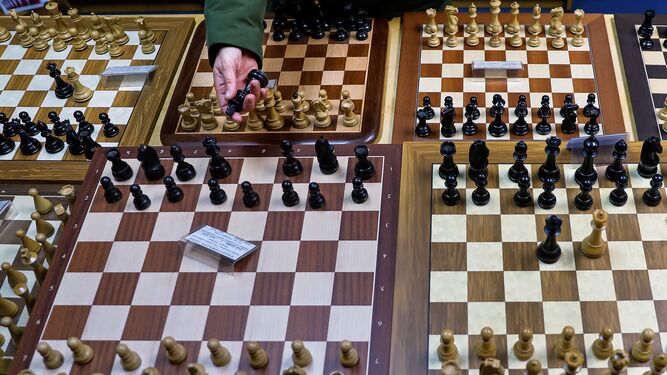 Tableros de ajedrez.