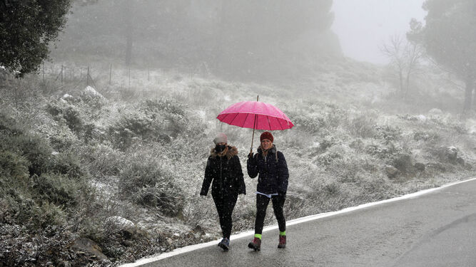 Nieve en la Sierra de Cádiz a causa de la borrasca Filomena.