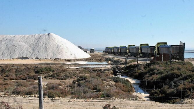 Una caravana incesante de camiones accede a cargar sal para el deshielo de las zonas afectadas.