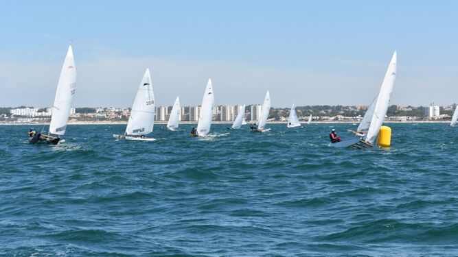 La competición de patín a vela ha vuelto a aguas de la Bahía de Cádiz.