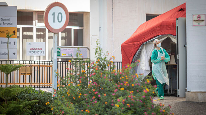 Una profesional sanitaria en la carpa que se instaló para acceder a las Urgencias del Hospital Puerta del Mar en la primera ola de la pandemia.