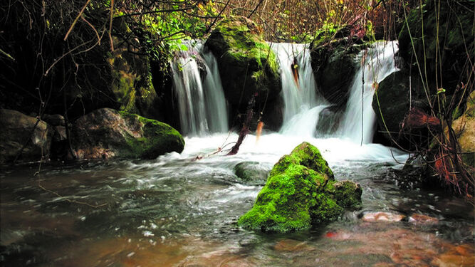 Las aguas de la zona del Parque Natural de Grazalema presentan altas concentraciones de glifosato.