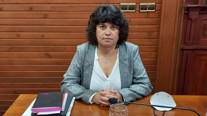La portavoz de IU, Carmen Álvarez, en la sesión plenaria de este viernes.