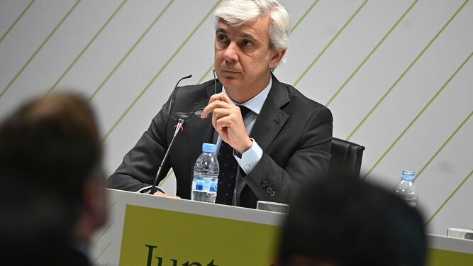 Ignacio Silva, presidente de Deoleo