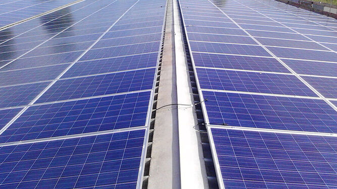 Capital Dynamics completa la adquisición del proyecto solar Puerto Real 2