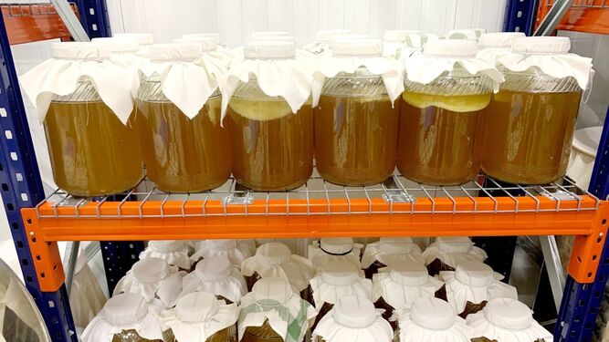 Una imagen del proceso de fermentación de la kombucha, en una nave del polígono Las Salinas.