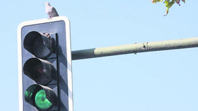 Los semáforos pueden incluir señales acústicas para las personas ciegas.
