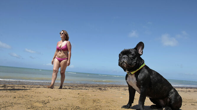 Un perro con su propietaria en una playa gaditana, en una imagen de archivo.