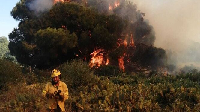 Un bombero trabaja en el incendio en los alrededores de 'El Rosal'