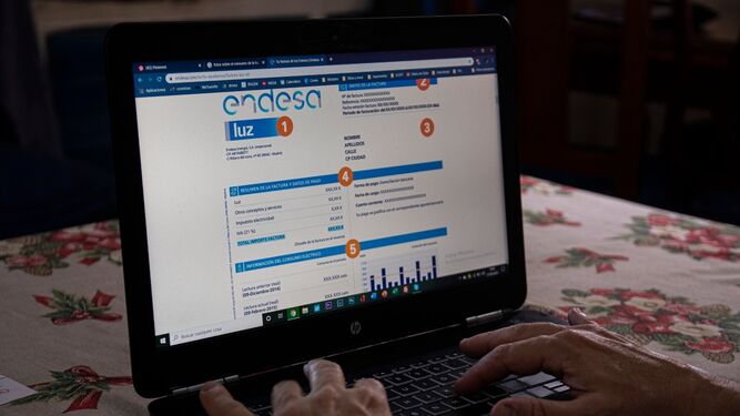 Un usuario busca información en la web de Endesa.