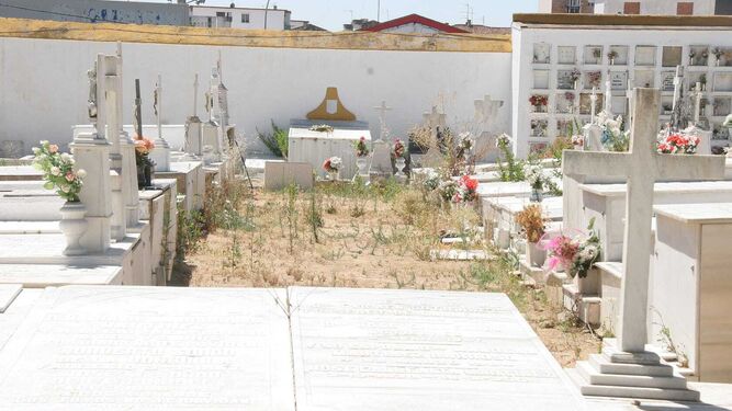 Una imagen de la zona del cementerio aún sin pavimentar, con las malas hierbas creciendo a su antojo.
