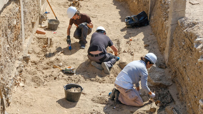 Arqueólogos trabajando en el cementerio de San José de Cádiz.