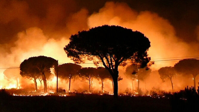 Una de las impactantes imágenes del incendio de Doñana en 2017.