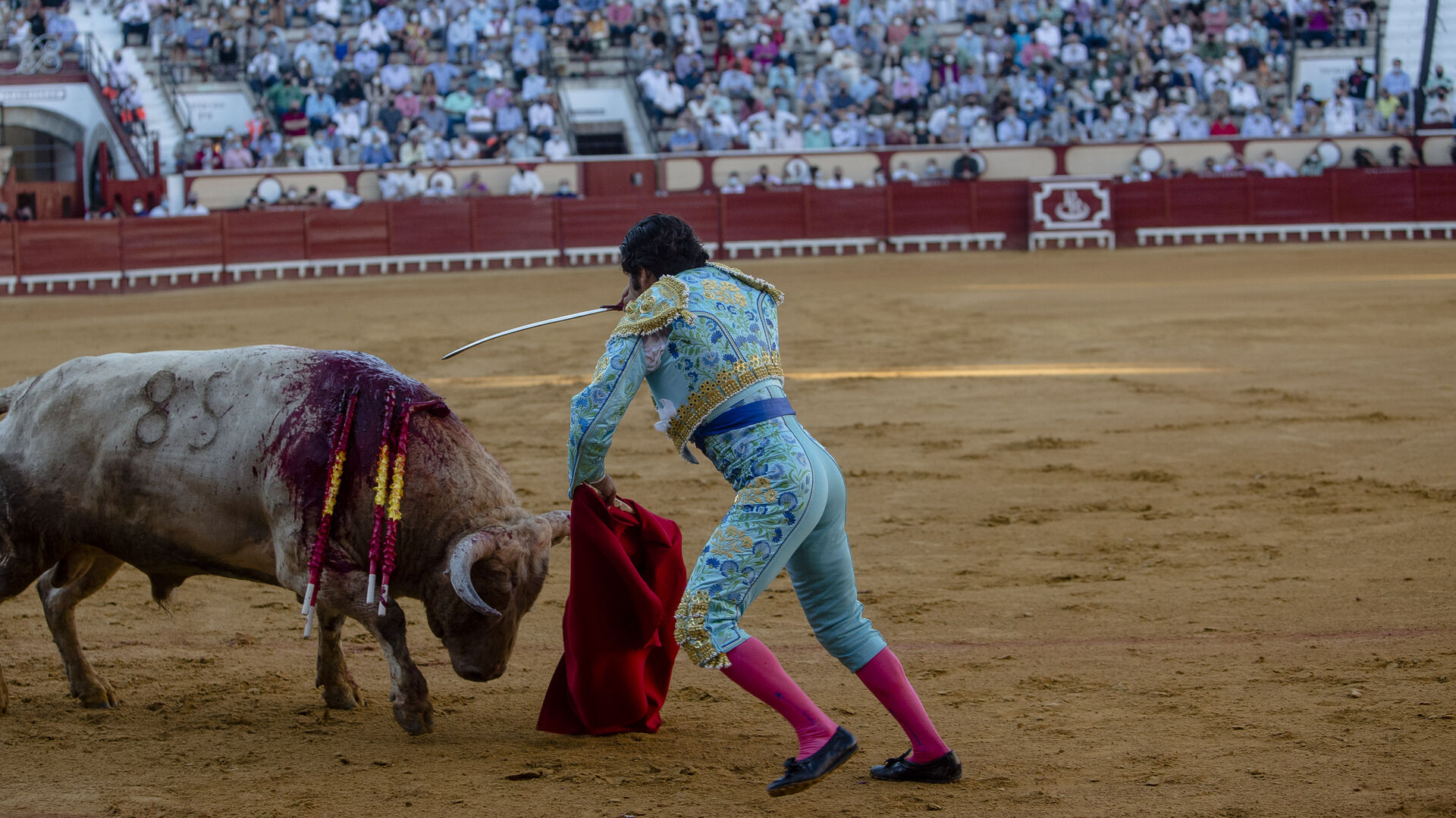 La corrida de toros en el Puerto de Santa Mar&iacute;a, con Morante de Puebla en solitario, en im&aacute;genes.