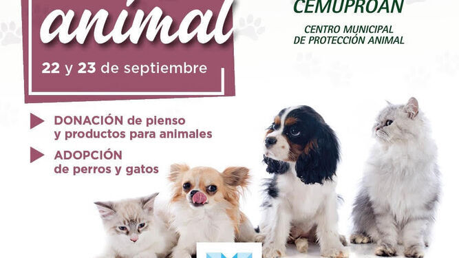 La adopción de mascotas es uno de los objetivos de la campaña.