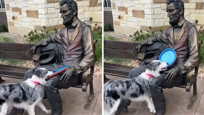 Un inocente Border collie intenta jugar con la estatua de Abraham Lincoln