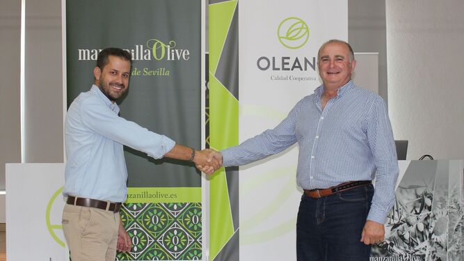 Acuerdo de fusión de Manzanilla Olive con Oleand.