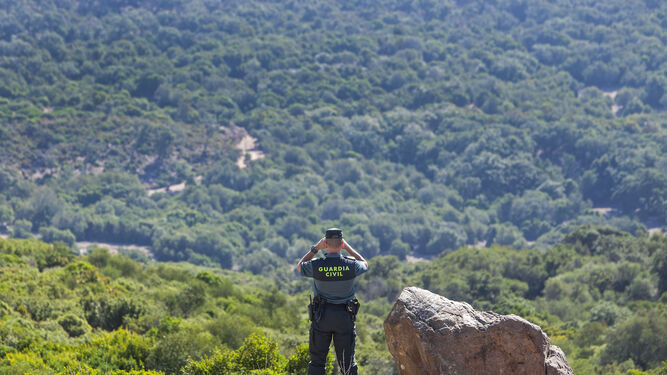 Un agente del Seprona vigilando el parque natural de Los Alcornocales en el término municipal de Alcalá de los Gazules.