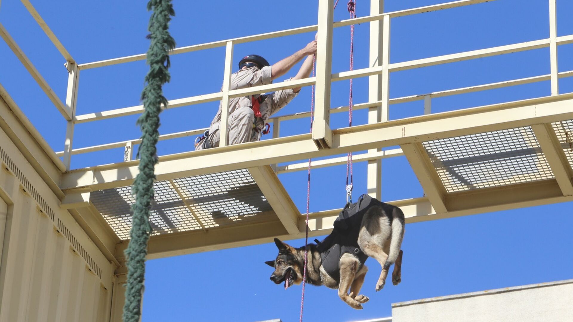 Ejercicio de Adiestramiento 2021 de Unidades Caninas en el TEAR.