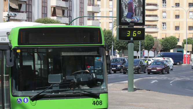 Un autobús de Aucorsa por las calles de Córdoba.