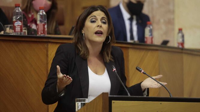 Ángeles Férriz, en una sesión del Parlamento.