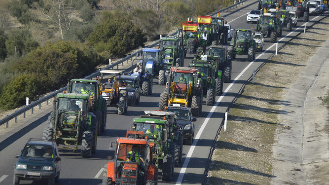 Tractorada de protesta por las carreteras andaluzas.