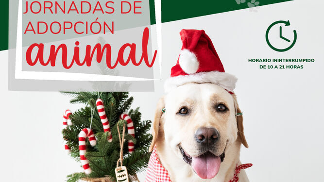 Las jornadas de adopción animal se celebran este miércoles y el jueves en Luz Shopping, en Jerez.