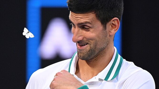 Djokovic reacciona ante una polilla en un partido del Open de Australia del año pasado.
