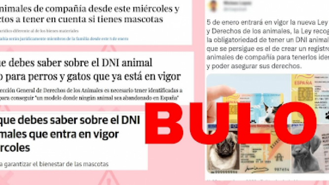 El DNI para mascotas todavía no ha entrado en vigor en España