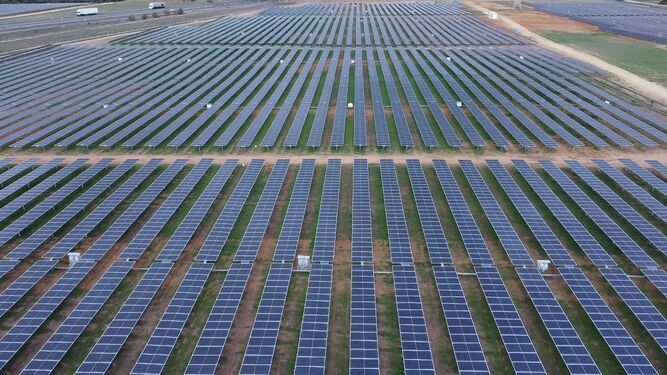 Imagen de la planta fotovoltaica de Endesa Torrepalma.