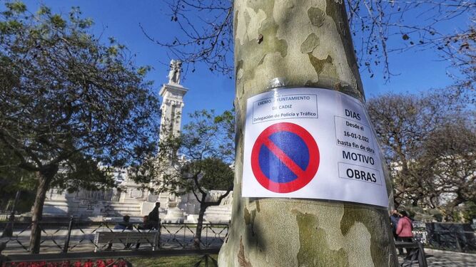 Cartel en un árbol con la prohibición de aparcar en la plaza de España.