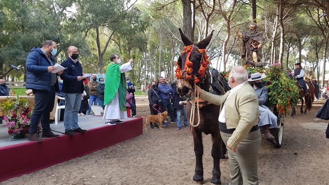 El paso de la carreta con el santo abrió la bendición de los animales por el sacerdote Juan Félix Ruiz Lama en Las Dunas.