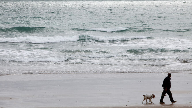 Un hombre pasea con su perro por la orilla  de la Playa Victoria.