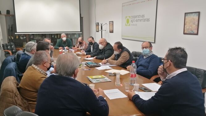 Reunión de la Mesa de Cítricos de Andalucía.