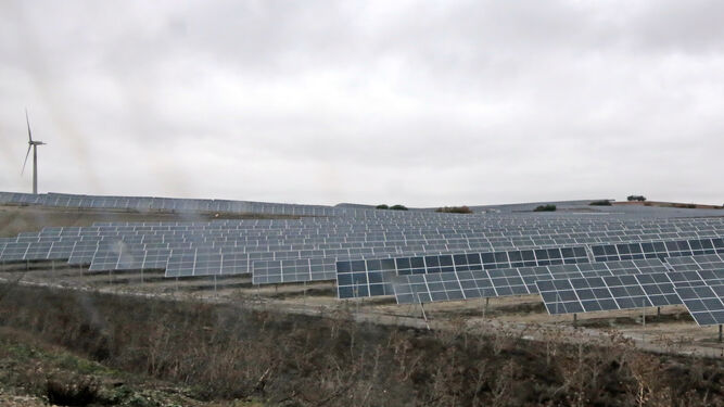 Uno de los parques fotovoltaicos ya construidos en Jerez.