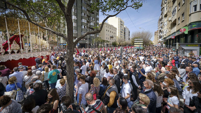 Cofradía de La Borriquita. Semana Santa de Cádiz 2022
