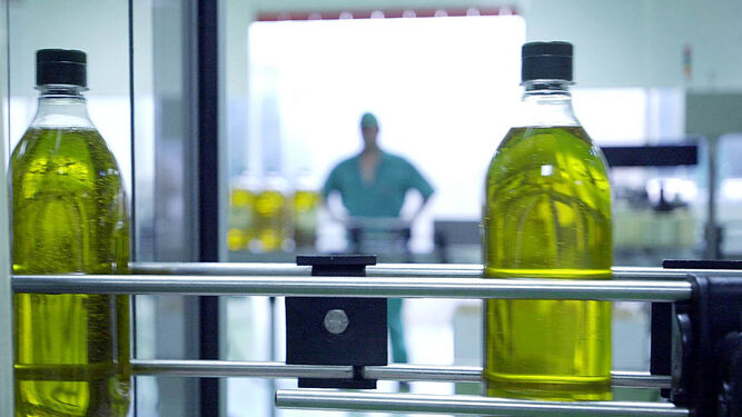 Planta de embotellamiento de aceite de oliva, uno de los productos andaluces más exportados.