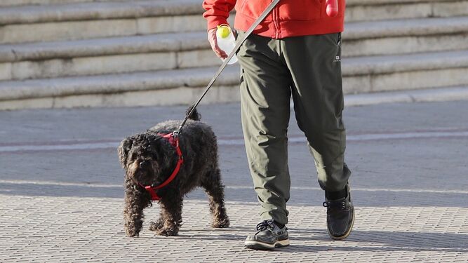 Un ciudadano paseo con su perro, atado con correa y portando en la mano una botella para limpiar sus orines, en una imagen de archivo.