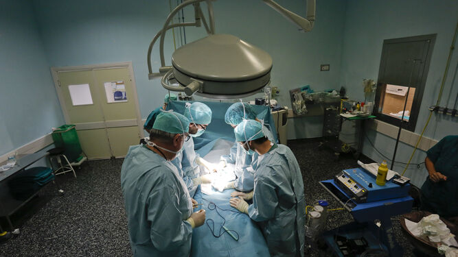 Un equipo de cirujanos opera a una persona en un hospital de Málaga.