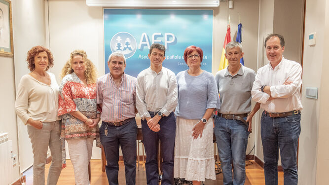 Comité Ejecutivo de la Asociación Española de Pediatría.